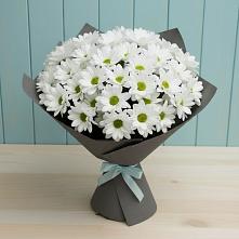 Букет цветов из:  Хризантемы #REPLACE_PRED# Пойковском
