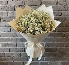 Букет цветов из:  Ромашки #REPLACE_PRED# Пойковском