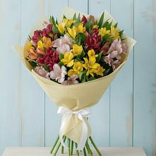Букет цветов из:  Альстромерии #REPLACE_PRED# Пойковском