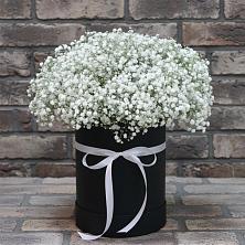 Цветочная композиция из Гипсофила в шляпной коробке в Пойковском
